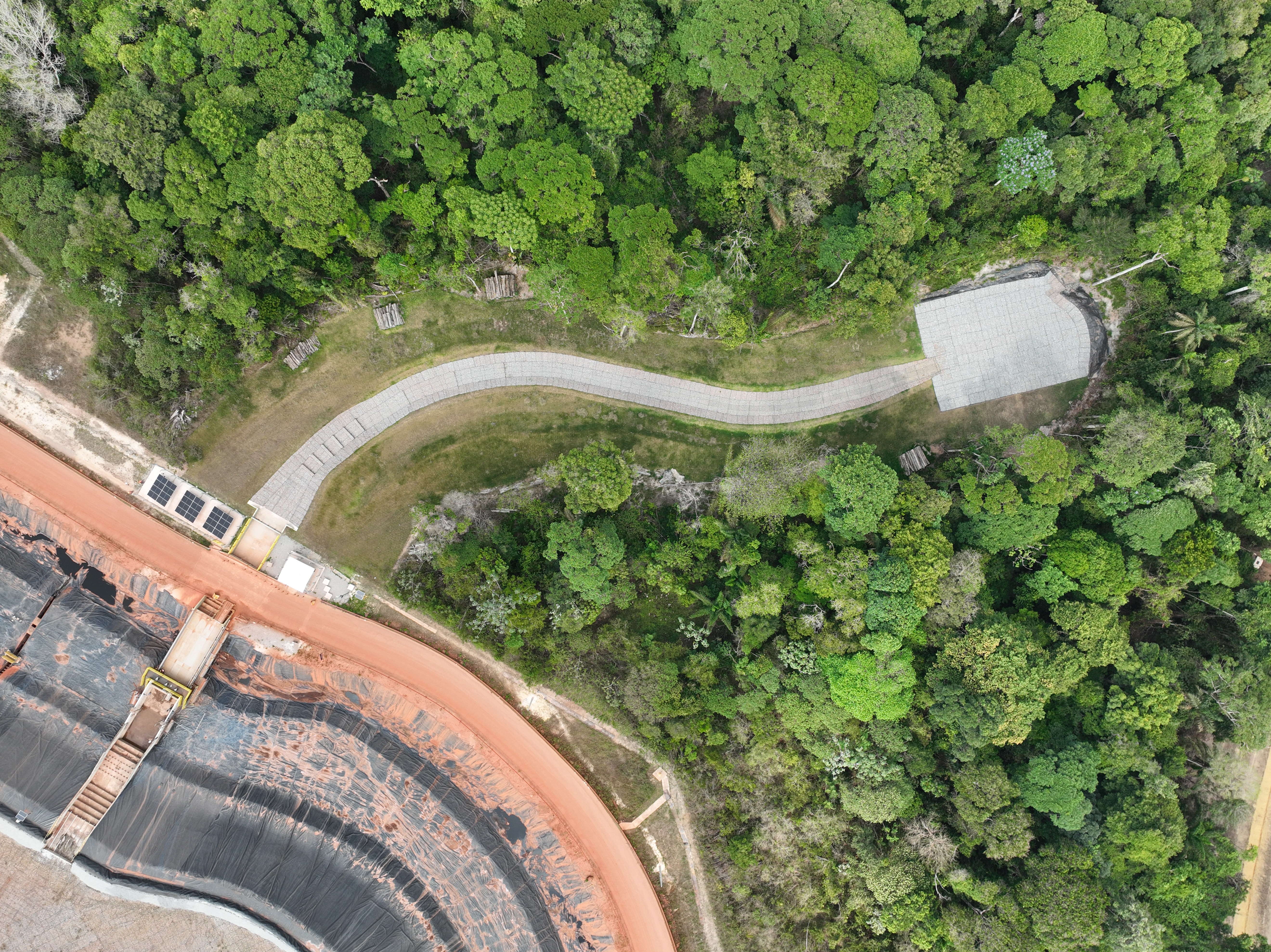 a road and trees from above