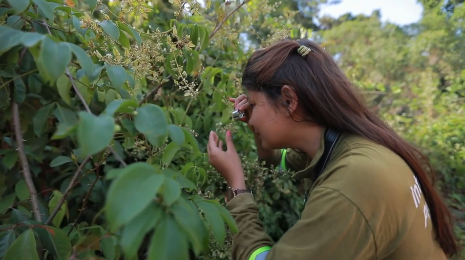 a woman looking at a plant