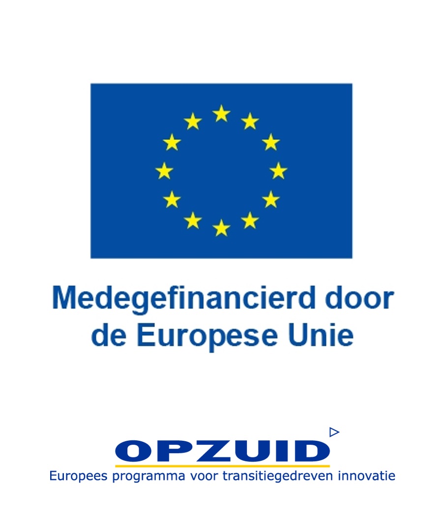 a blue flag with yellow stars